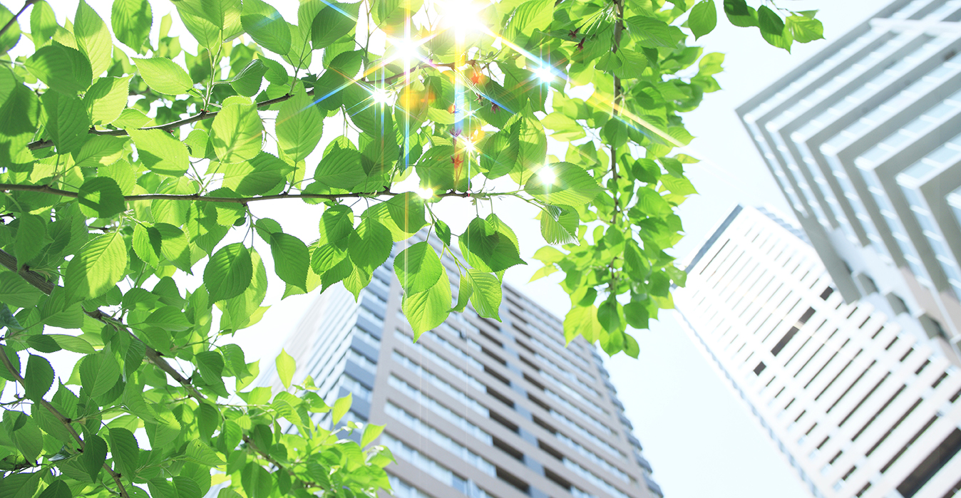 Contribuimos a la sostenibilidad ambiental Contribuimos a la sostenibilidad ambiental